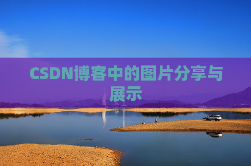 CSDN博客中的图片分享与展示